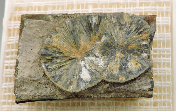 Wavellite from North Devon, England, UK – thumbnail