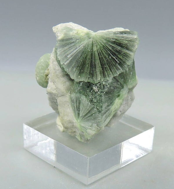 Wavellite from Arkansas, USA – thumbnail