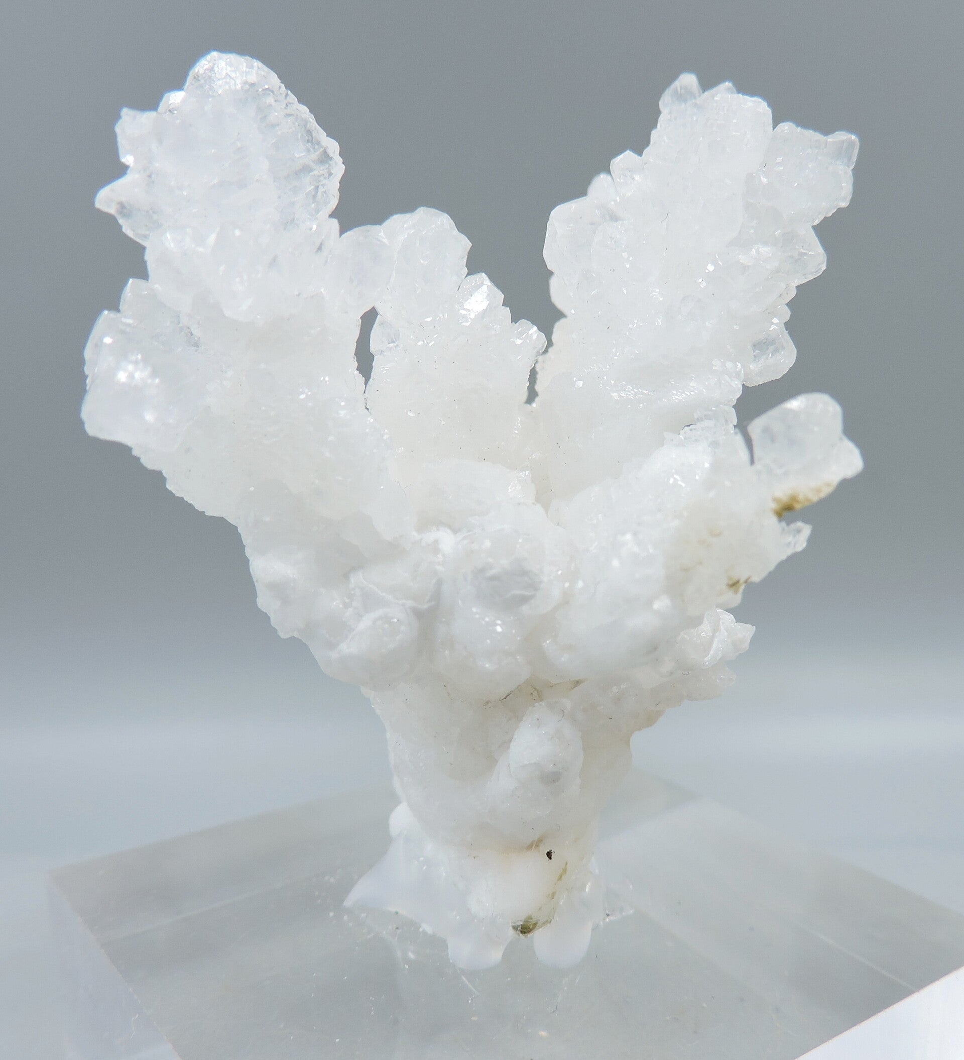 White aragonite from Mexico – miniature