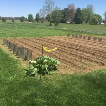 Garden tilling