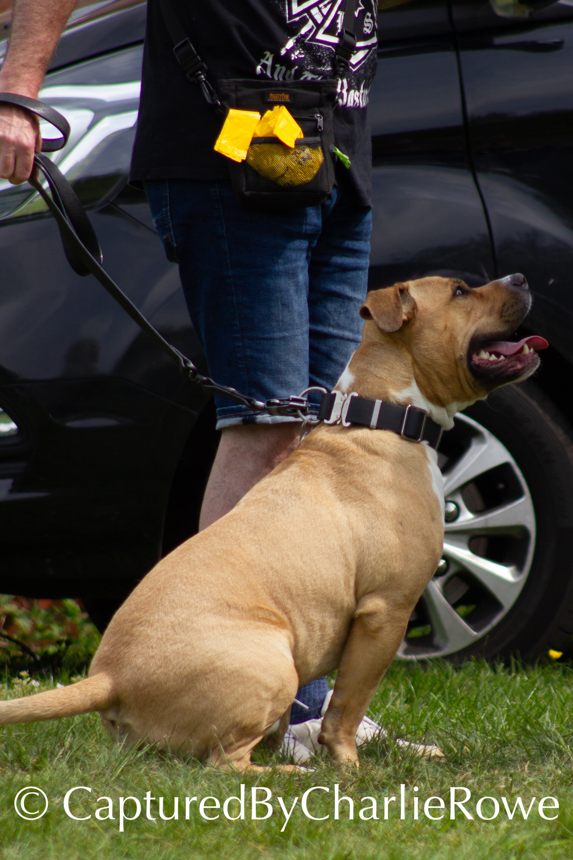 emma-s-dog-show-april-2026-70-standard.jpg