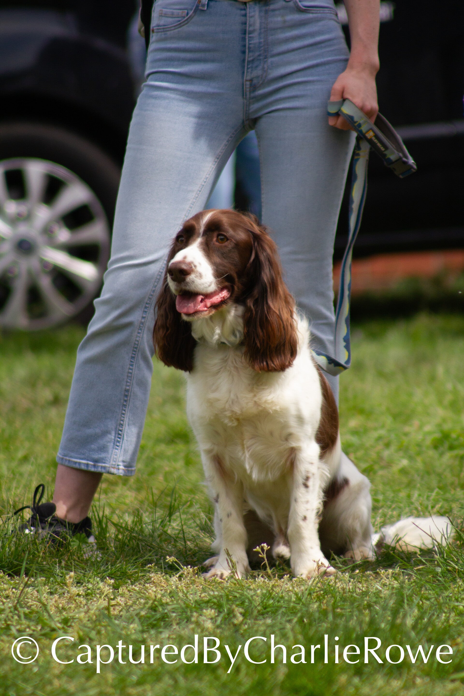 emma-s-dog-show-april-2026-83-standard.jpg