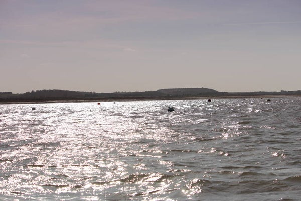 Headland 3