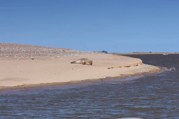 Headland 2