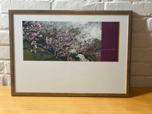 Martin R. Baeyens – ‘Weer een nieuwe lente’ – Gelimiteerde & Ingelijste Kunstprent (33/150)