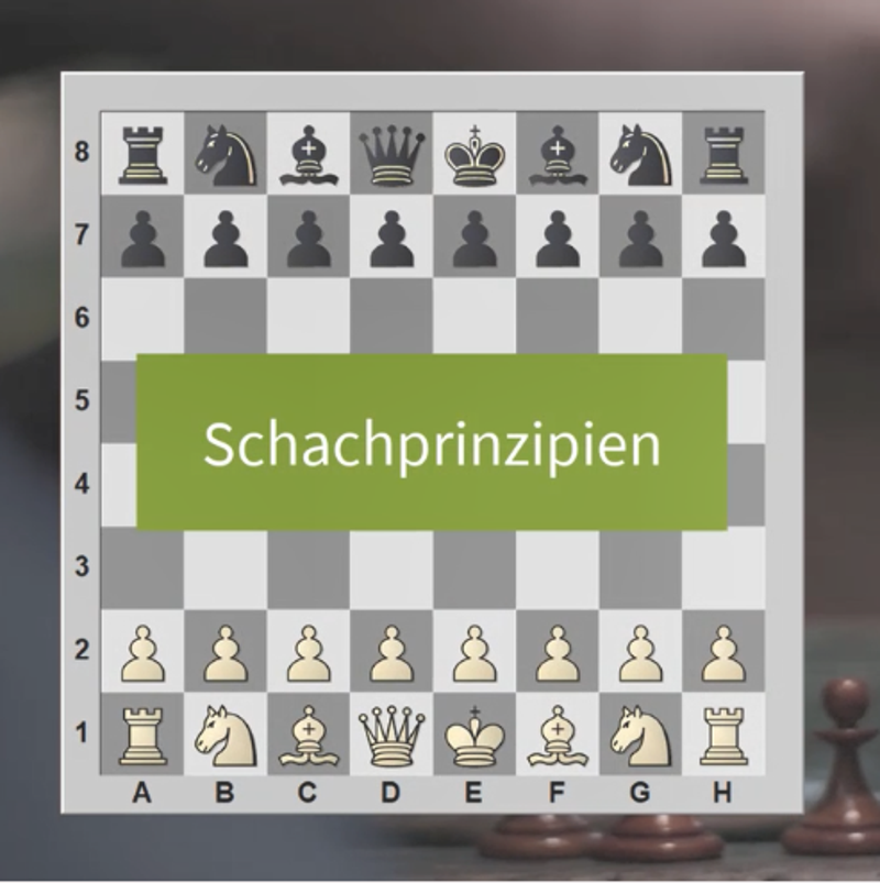 Schachprinzipien