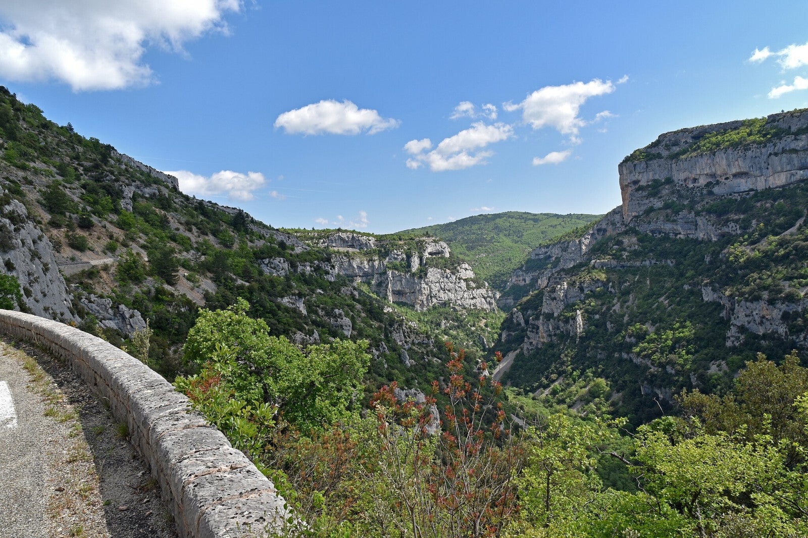 gorges-de-la-nesque-by-pline-cc-by-sa-4-0-httpscreativecommons-orglicensesby-sa4-0-via-wikimedia-commons-standard.jpg