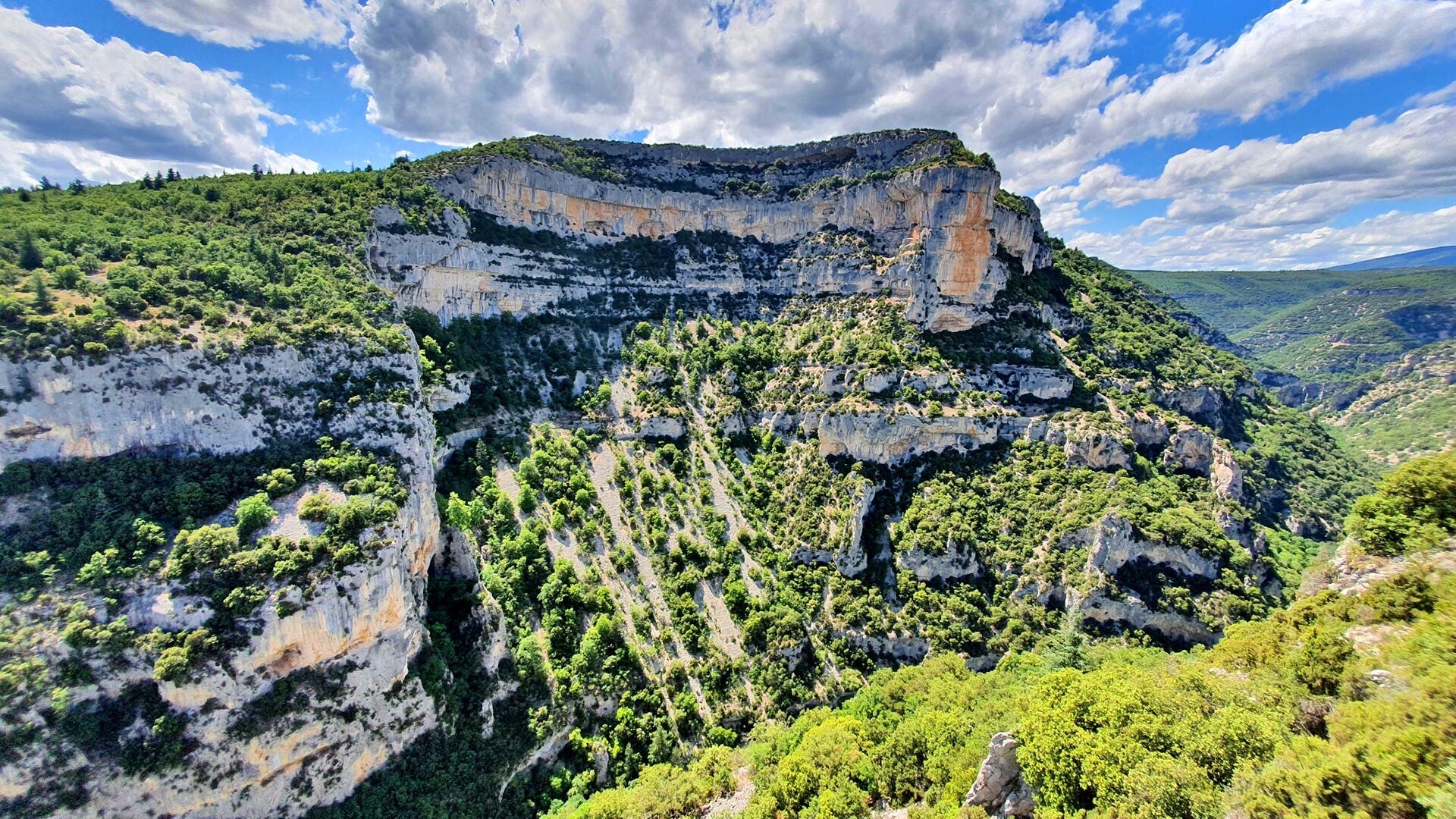 gorges_de_la_nesque_004-standard.jpg