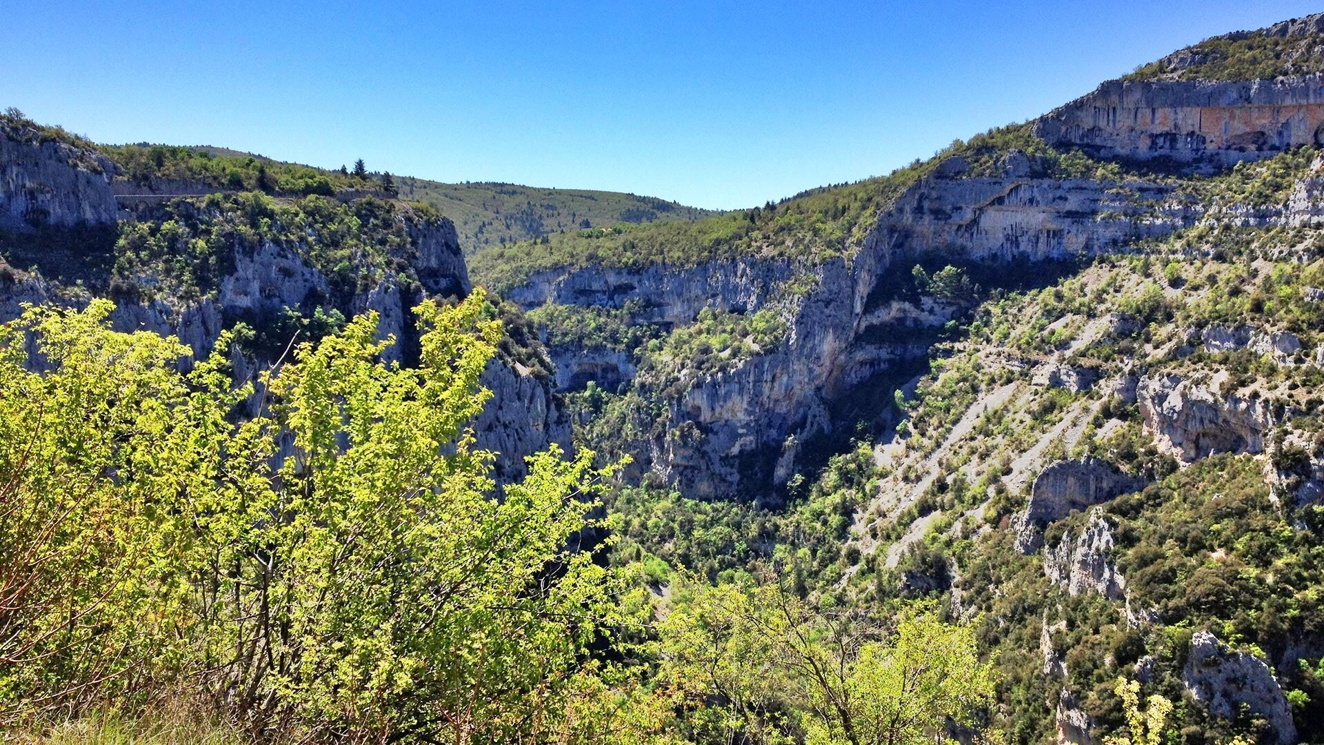 gorges_de_la_nesque_005-standard.jpg