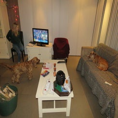 wij-vandaag_kerst-2015_2097.jpg
