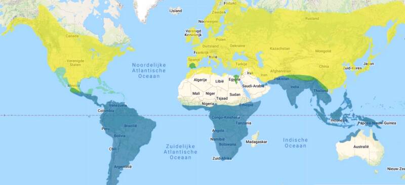 Leefgebied Boerenzwaluw