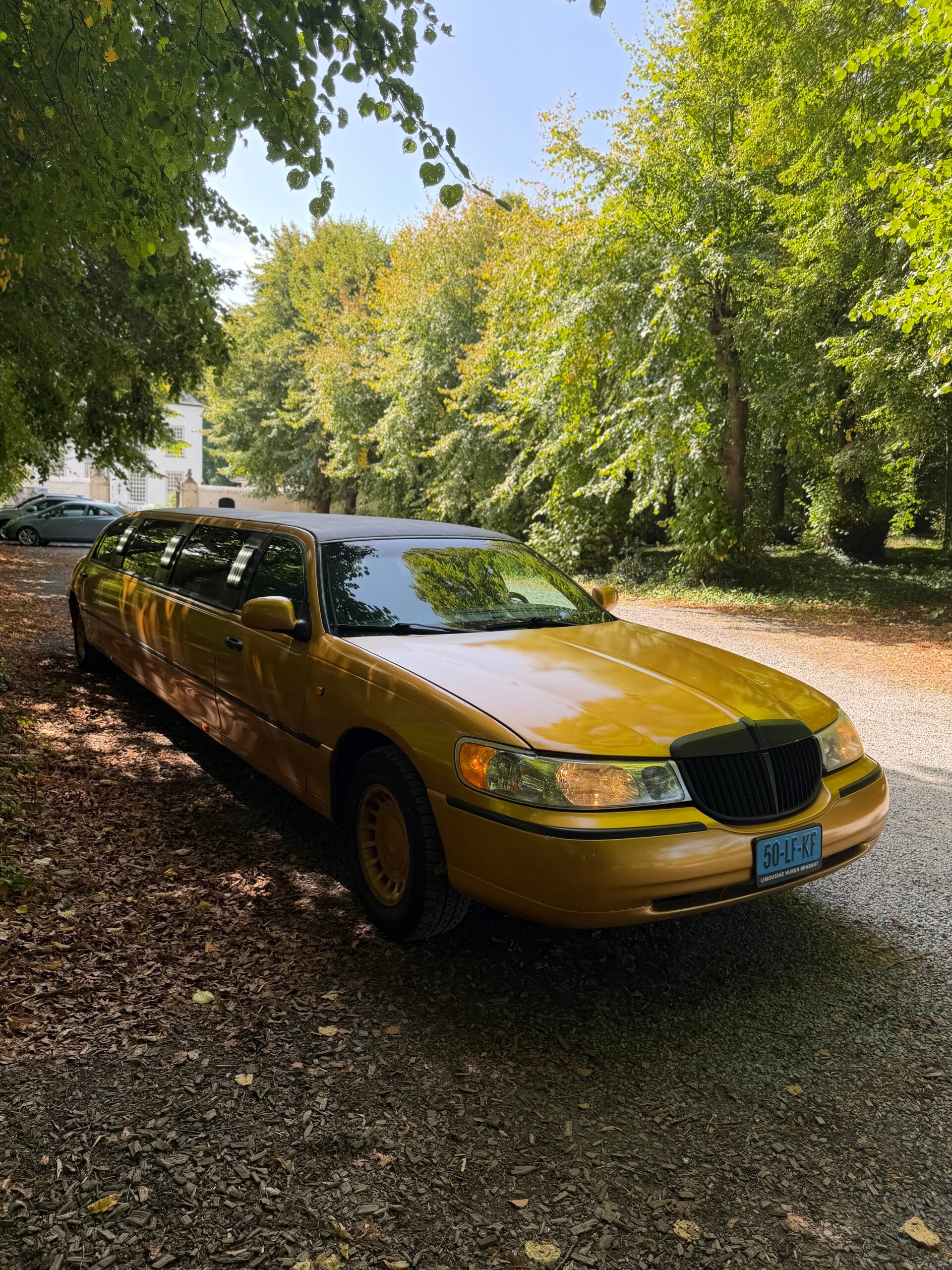 Gouden limousine in Loon op Zand