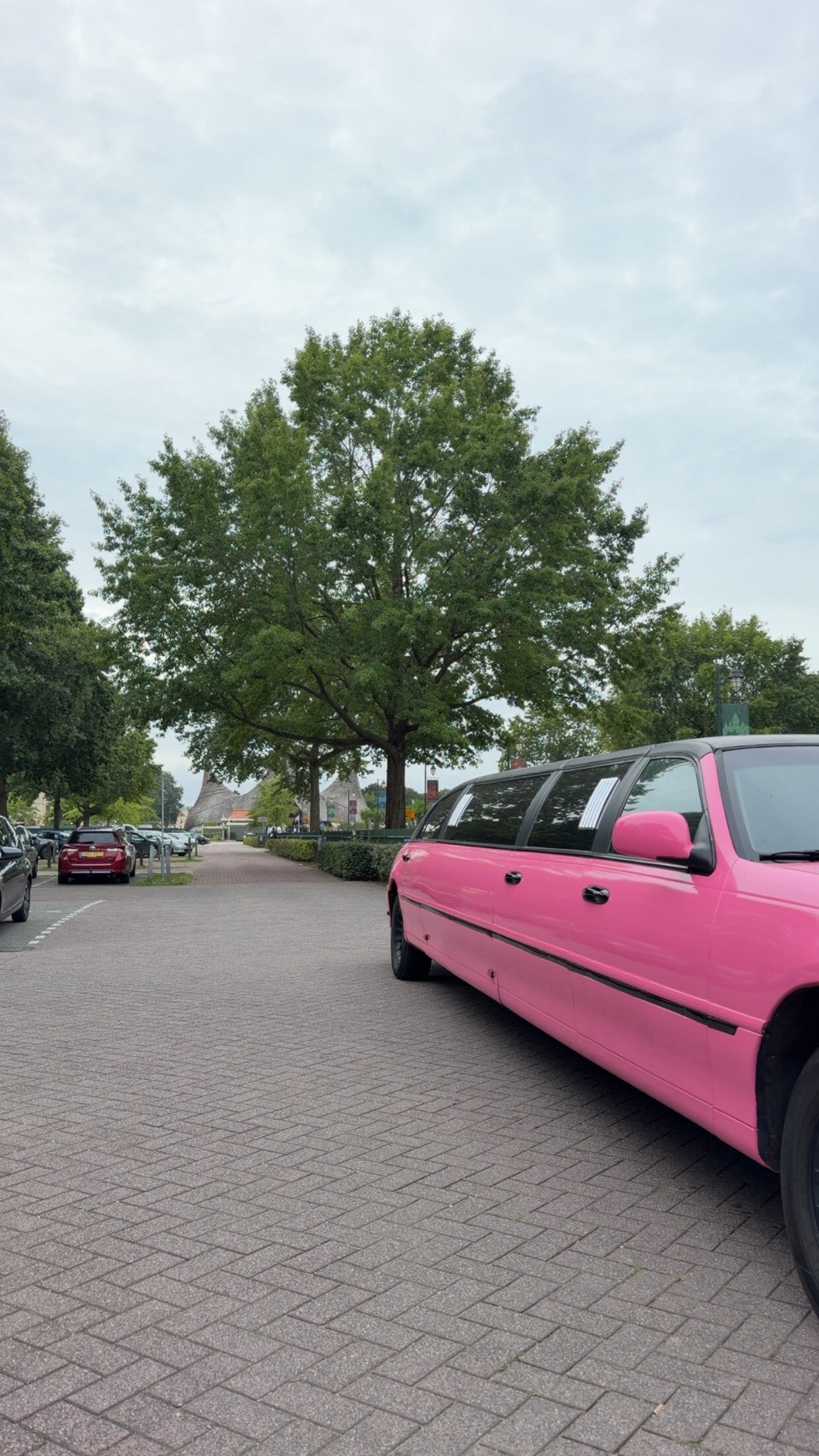 roze limousine bij de efteling