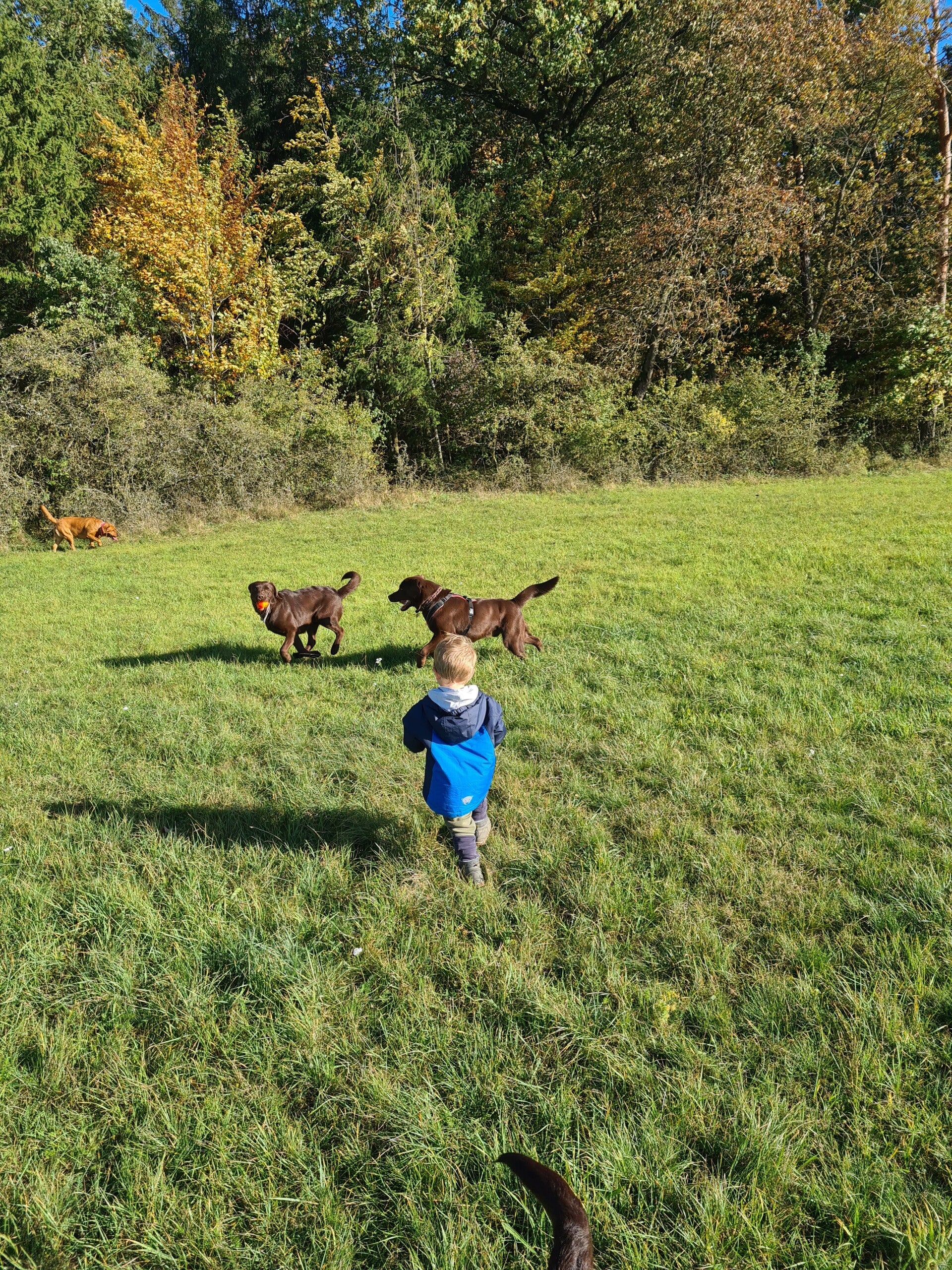 20231022_152952-standard.jpg