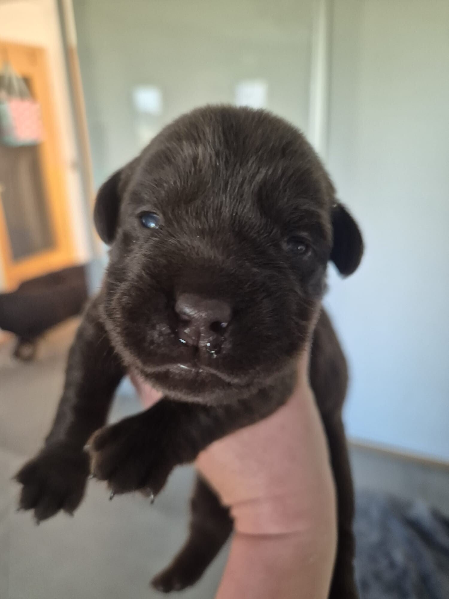 motion_photo_9108742035379850276-standard.jpg
