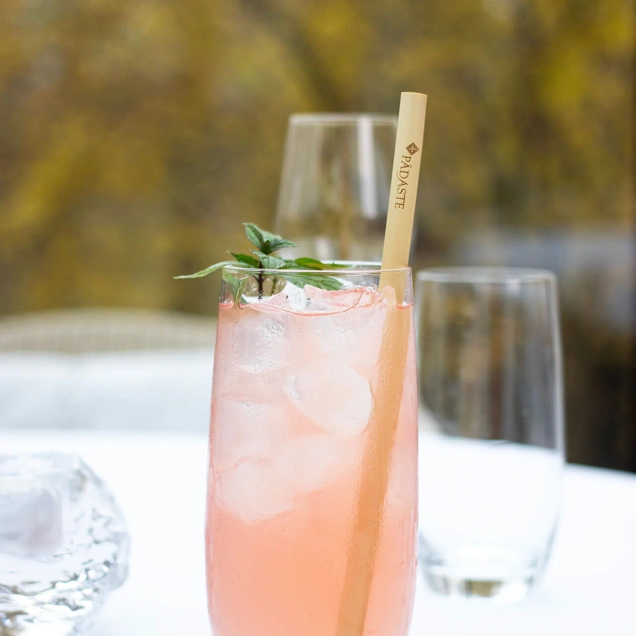 Smoothie Longdrink Straw 20cm