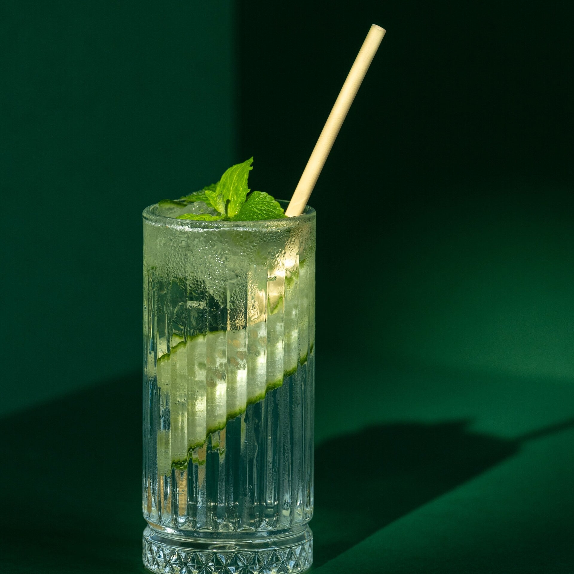 Regular Longdrink Straw 20cm