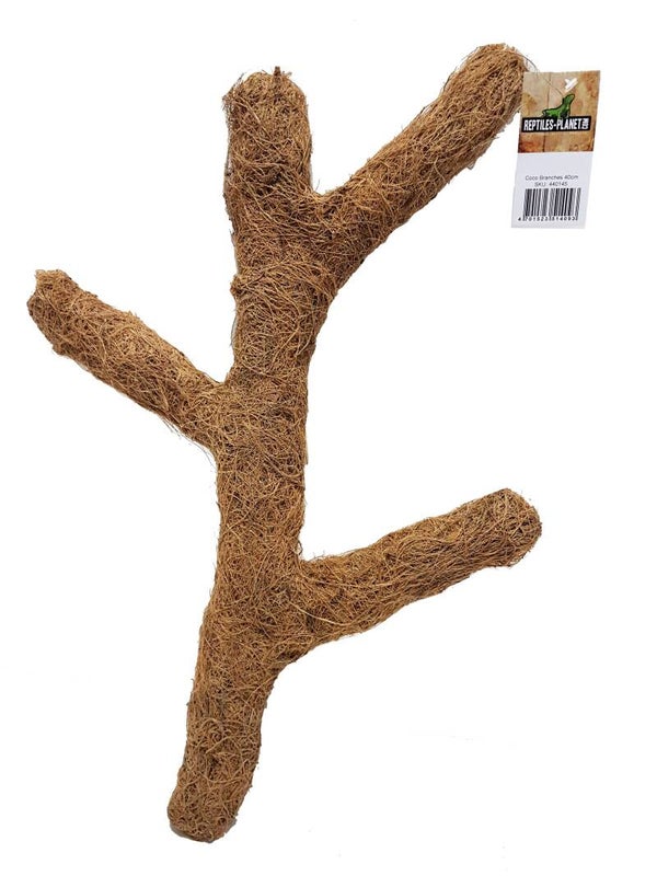 Coco branches 40 cm