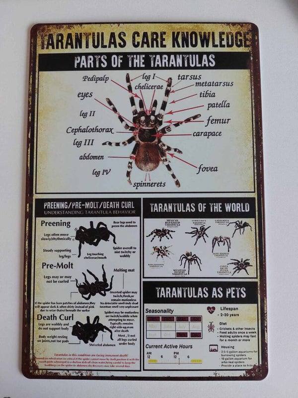 Plaque aluminium  Tarantulas care knowledges