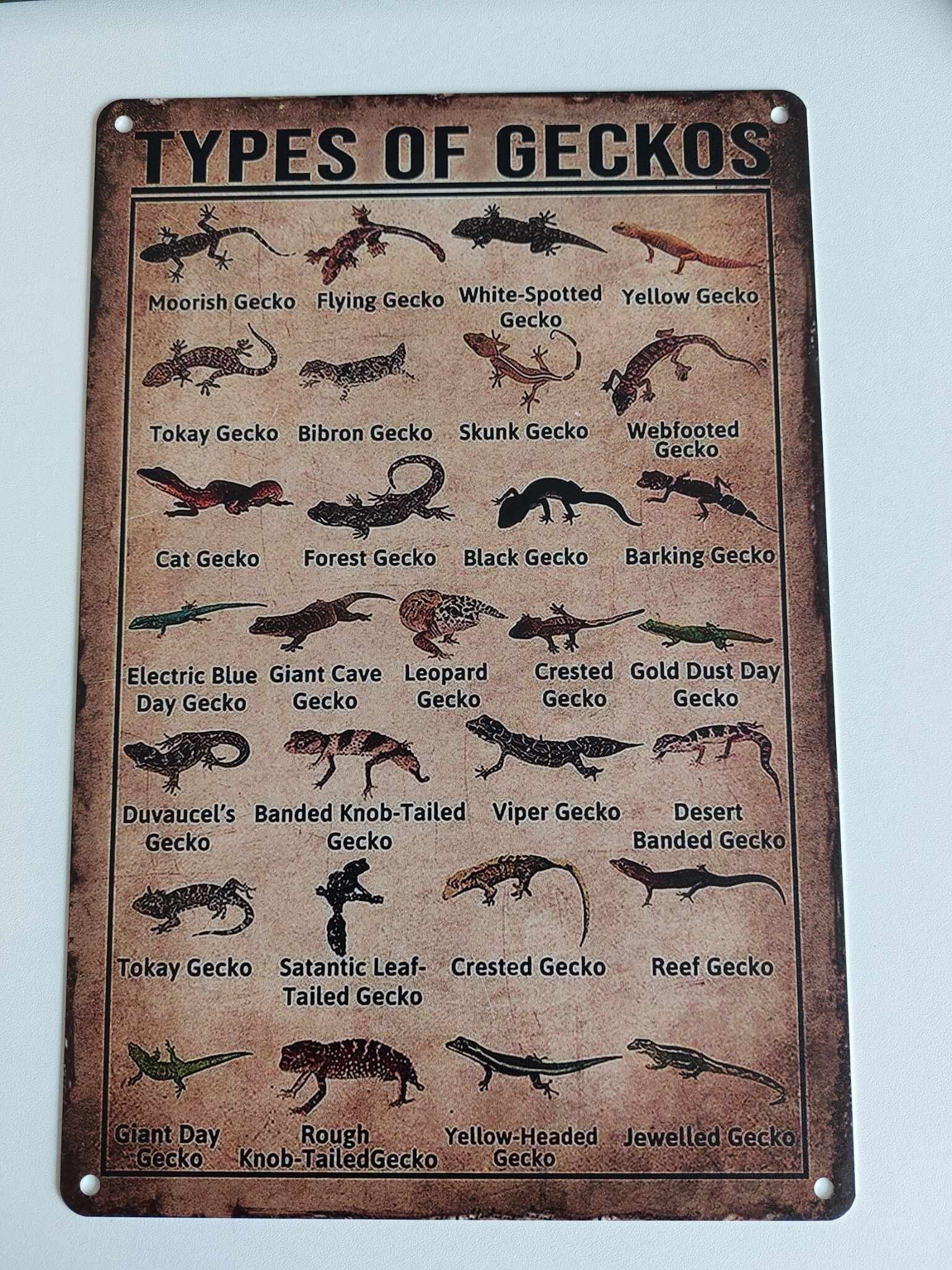 Plaque aluminium  Types of geckos