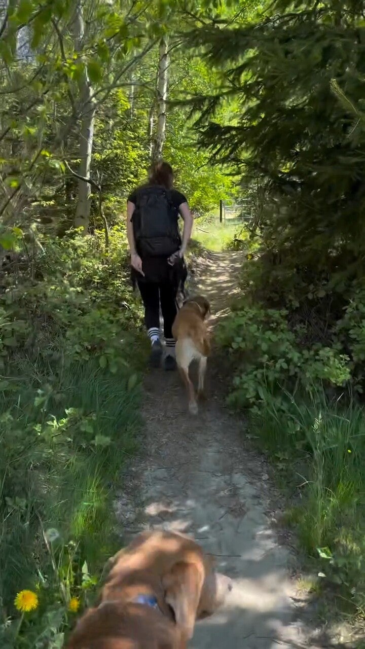videocapture_20260519-191924-standard.jpg