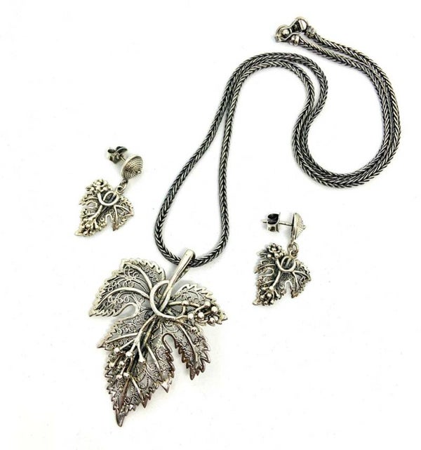 Set hojas de parra