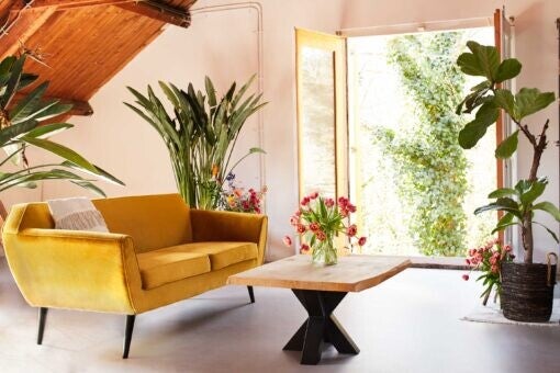 Table basse de salon en chêne tronc d'arbre