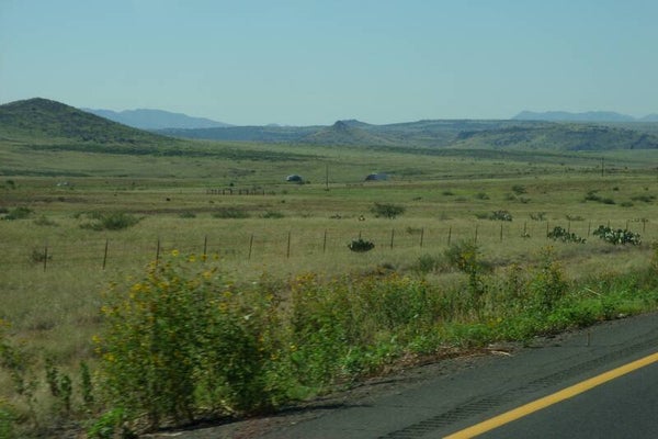 Field in New Mexico