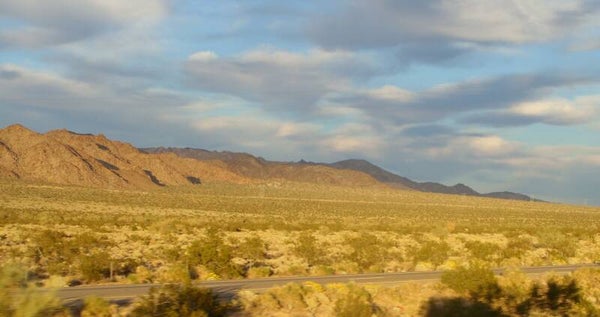 Open Road Picture