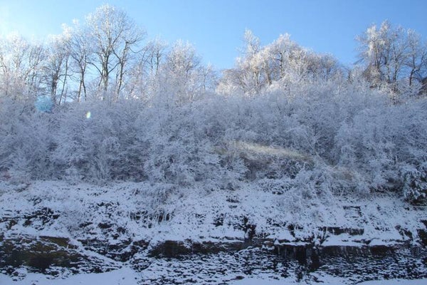 A Frozen Scene in Virginia
