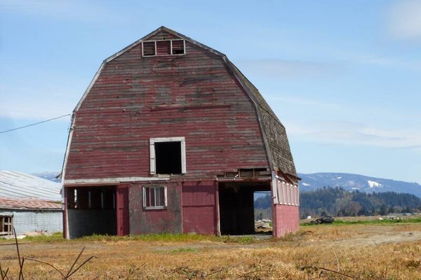 Old Barn Stands Out in Washington State