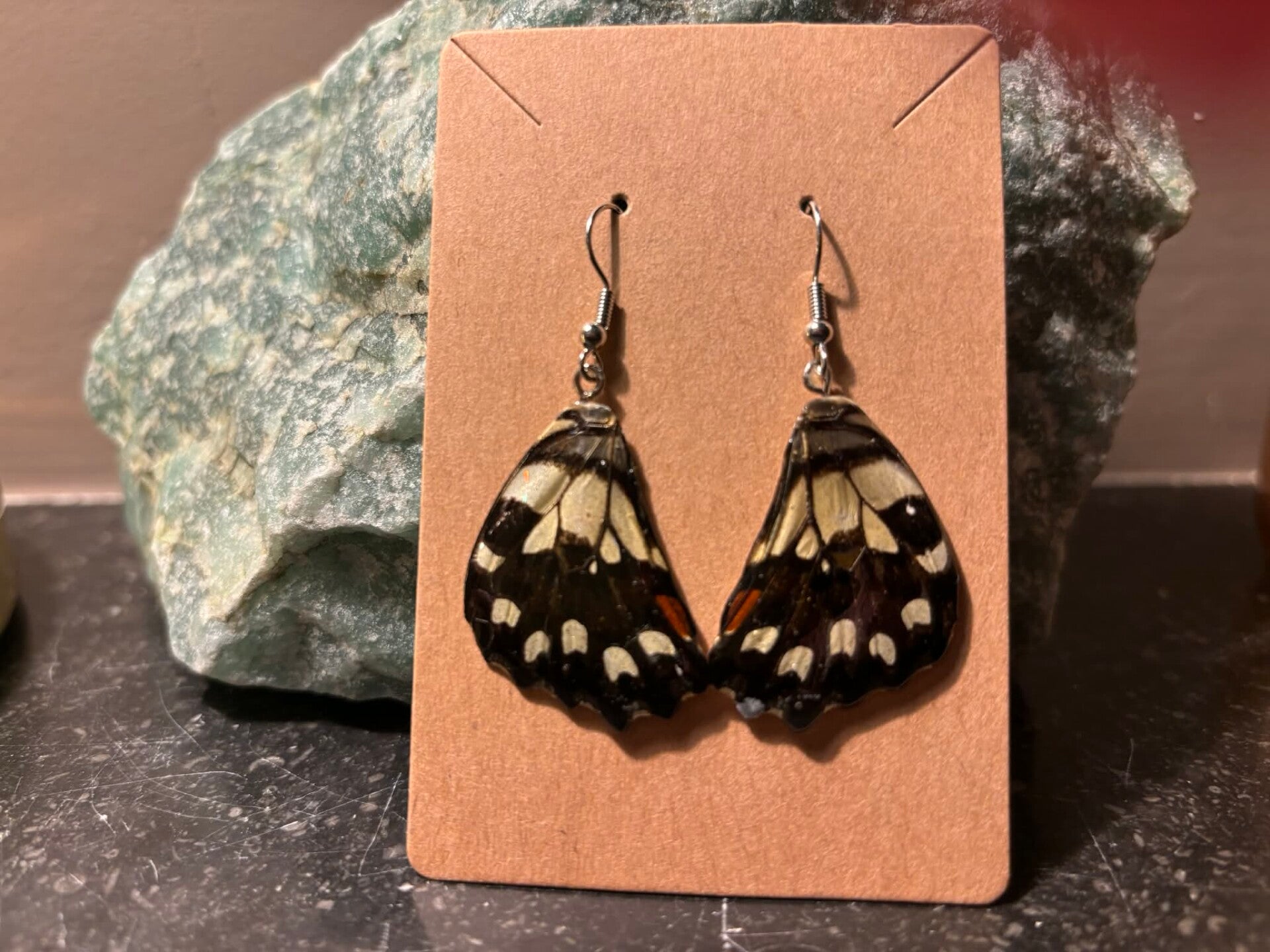 Echte vlindervleugel in epoxyhars