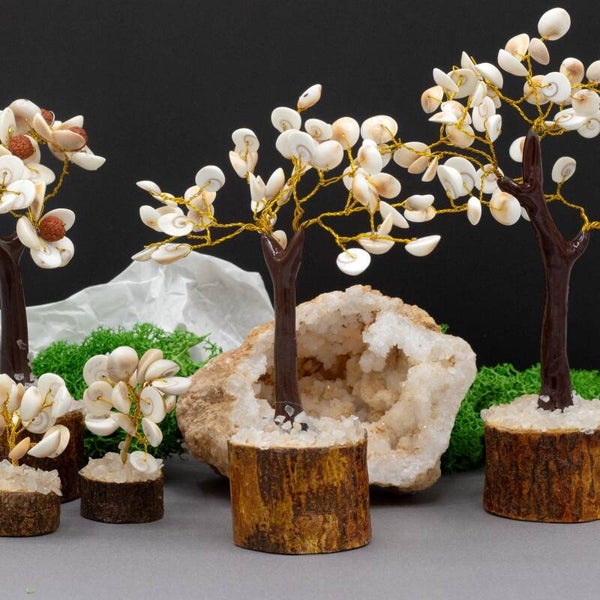 Gomati Chakra Circle Stone Tree – 45 Stones