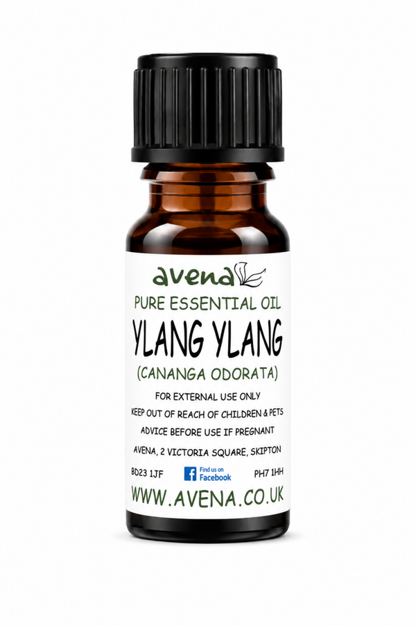 Ylang Ylang Essential Oil (Cananga odorata)
