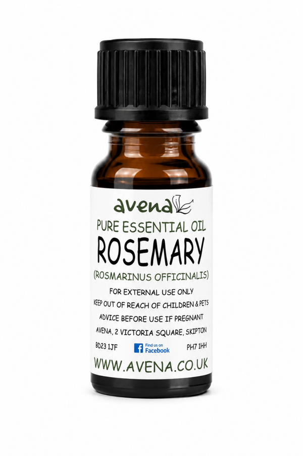 Rosemary Essential Oil 10ml | Aromatherapy Oil