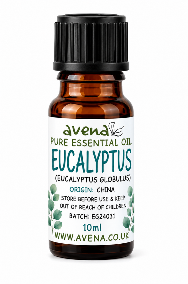 Eucalyptus Essential Oil (Eucalyptus globulus) 10mlml