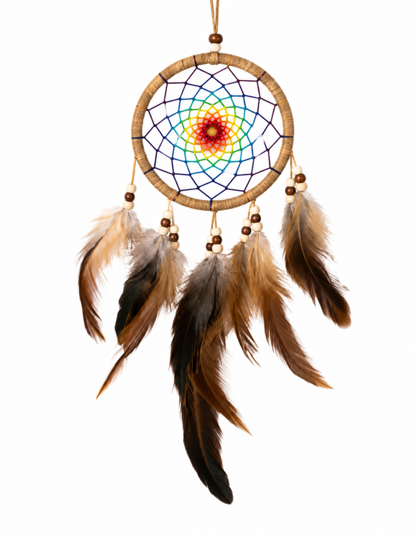 Dream Catcher with Brown Feathers Medium