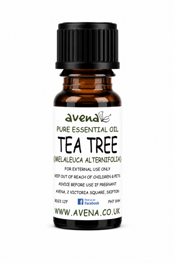 Tea Tree Essential Oil (Melaleuca alternifolia)