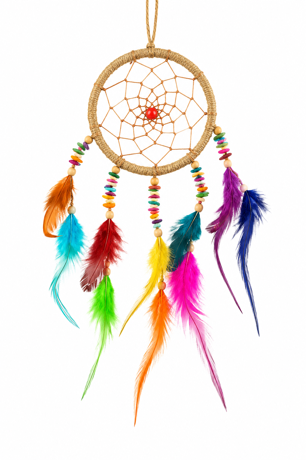 Multi Coloured Dream Catcher Medium