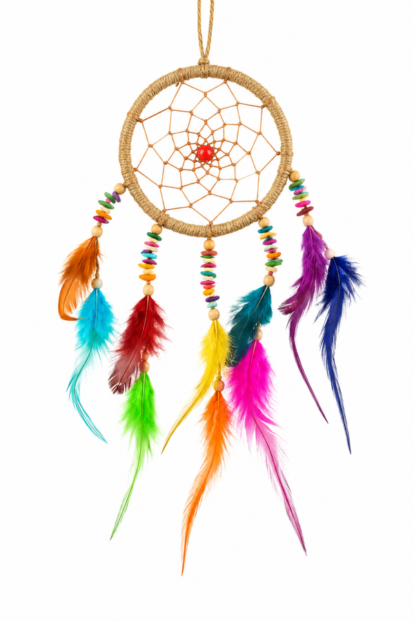 Multi Coloured Dream Catcher Medium
