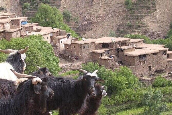 1/2 day trek - mountain and waterfalls - local guide