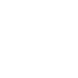 triadens-standard.png