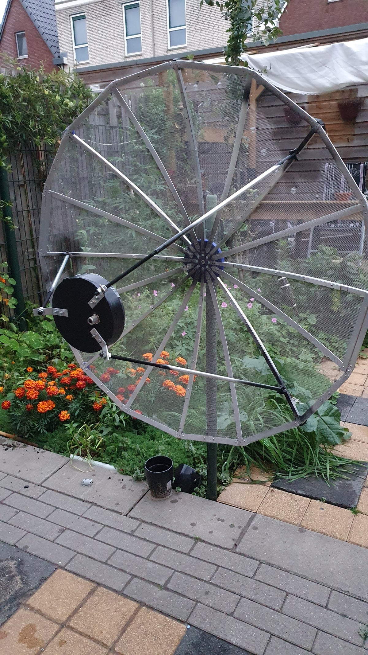 Dish / Projects | Pe9rx