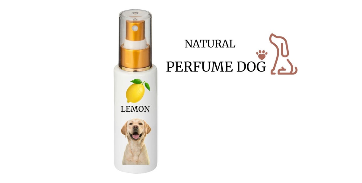 PERFUME DOG HORSEPERFUME