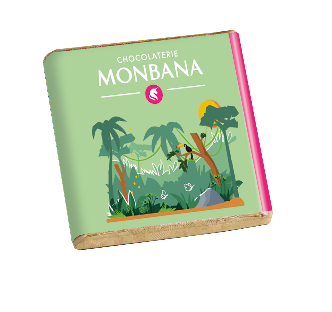 50 carrés de chocolat noir éclats de cacao MONBANA