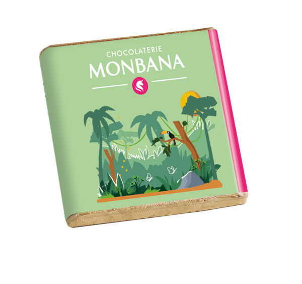 50 carrés de chocolat noir éclats de cacao MONBANA