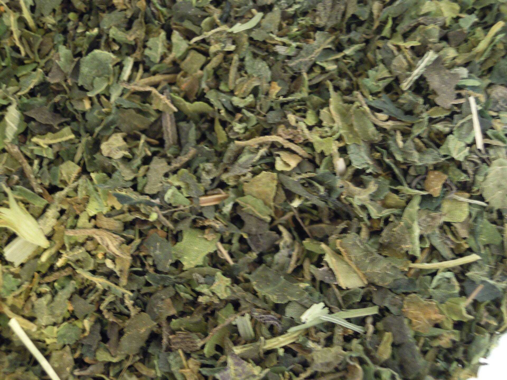 Tisane feuilles d'orties