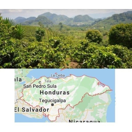 Honduras San Marcos
