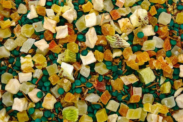 KIWI vert (Fontaine aux fruits)