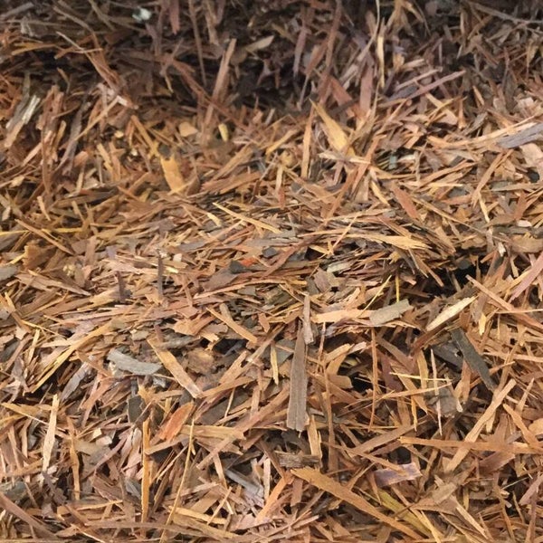 Lapacho Vanille Camomille (bien être)